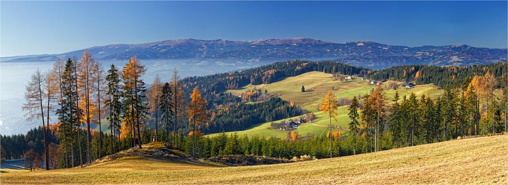 Ferienwohnungen Lichtenegger Kamp Zewnętrze zdjęcie