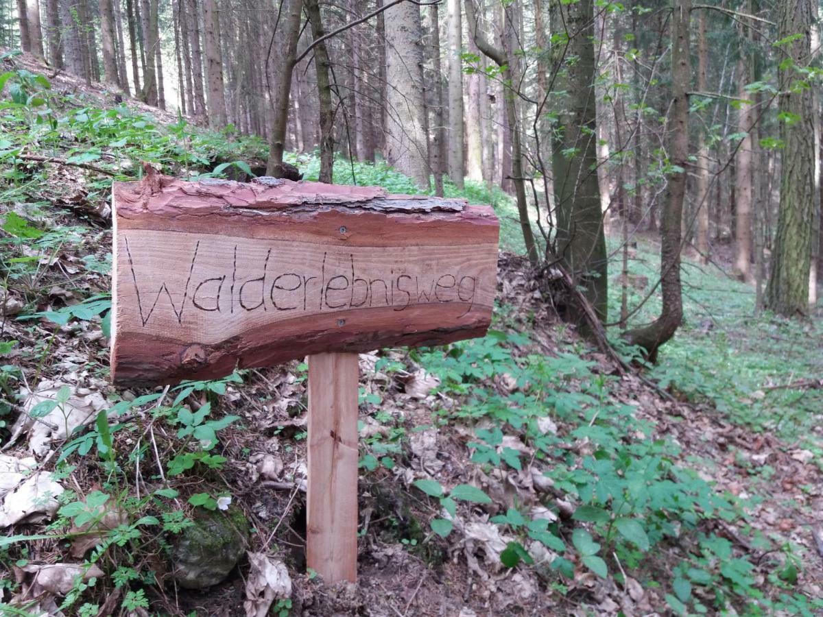 Ferienwohnungen Lichtenegger Kamp Zewnętrze zdjęcie